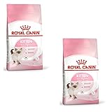 Royal Canin Kitten | 2 x 400 g | Alimento seco para Cachorros de Gato de hasta 12 Meses | para reforzar el Sistema inmunitario, la digestión y el Desarrollo Cerebral